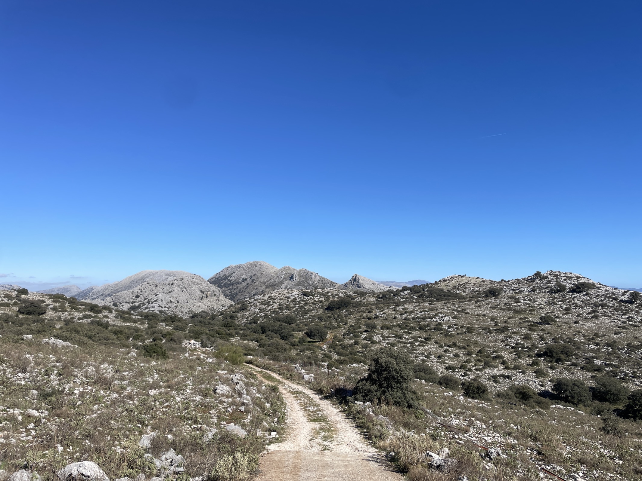 Late light on the Sierra de los Pinos descent